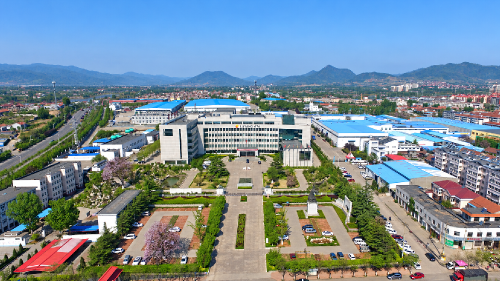 Shandong Luyang New Materials