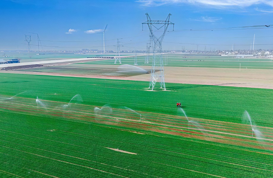 Electricity consumption for agriculture and lighting